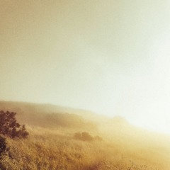 In a Dream