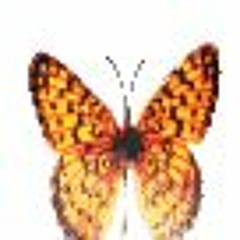 ghost2cb - rot (alky)