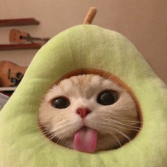 DOLLAR SIGNS (quin noa flip) @kungfuul $$$