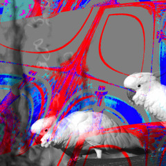 Chester calls his friends (in the language of dark techno)