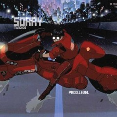 Sorry (Prod.Level)