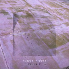 Ex.Hale - Purple Fields
