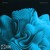 Artwork for KREAM - Pressure