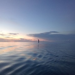 My Silent Love|AlternateVersion 🫰🏿⛽🍻