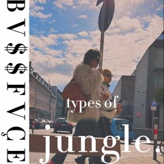 Bassface - Types of Jungle (Happy1stAdvent)