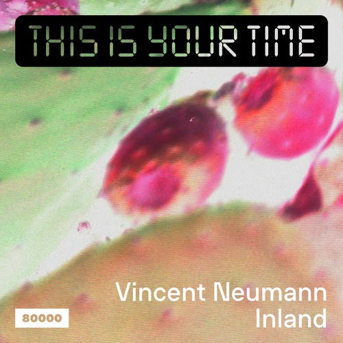 This Is Your Time! Vol.24 - Vincent Neumann And Inland