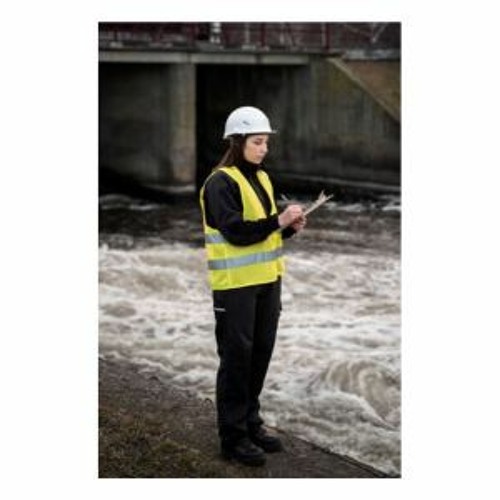 Charting The Course: Excellence In Floodplain Management