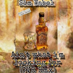 ✟✞$𝖎𝖒𝖕𝖞.$𝖎𝖒✟✞ - Ain’t what i’m looking for (CVR Rmx)