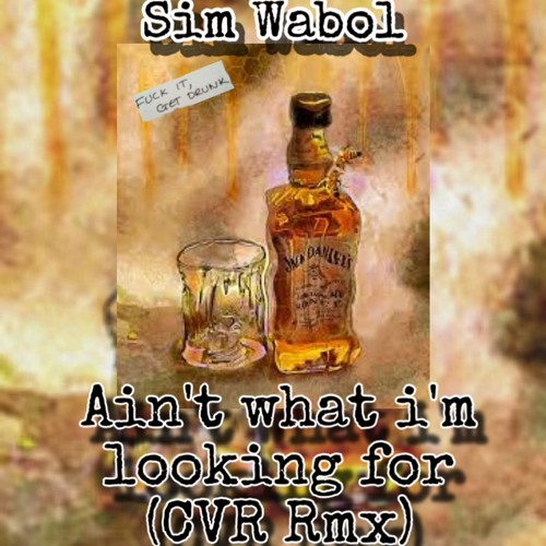 ✟✞$𝖎𝖒𝖕𝖞.$𝖎𝖒✟✞ - Ain’t what i’m looking for (CVR Rmx)