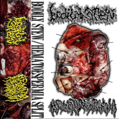 HEMATOESPERMIA-BODILY STEW SPLIT(HEMATOESPERMIA SIDE)