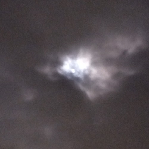 bleachwings - teeth (qwerrxr remix)