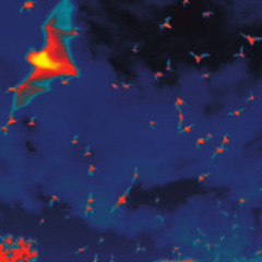 22 - Warbby Ft Lil Kartel Prod. Jmxri