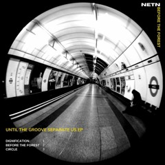 NETN - Before The Forest