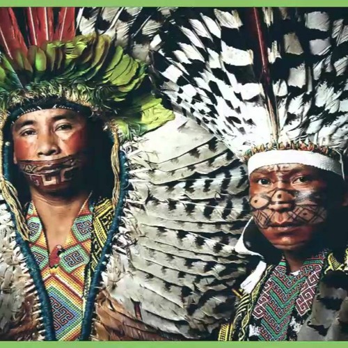 Ninawa Pai Da Mata & Txaná Ikakuru - Ibiranaeitum