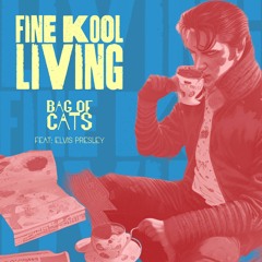 Fine Kool Living - Demo