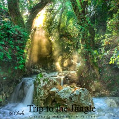 Dr. Clarke - Trip To The Jungle (Visionary Shamanics records)