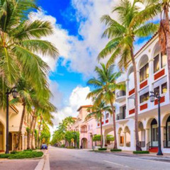 Best Things To Do In Palm Beach Shores Florida Tours Reviews