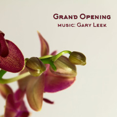 Grand Opening