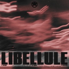 Akeos - Libellule EP (NULLSECT)