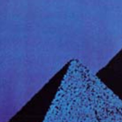 A Vibe Called Lauren