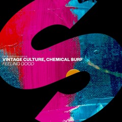 Vintage Culture, Chemical Surf - Feeling Good (Enigma Edit)