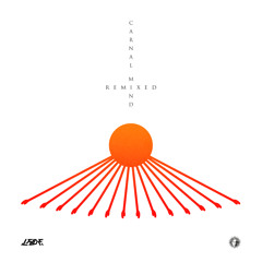 No Sound (Dogger & Mindstate Remix)