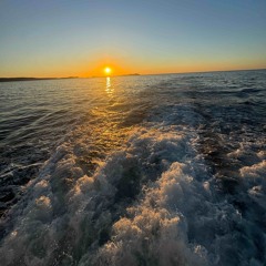 never have me (VIP MIX)