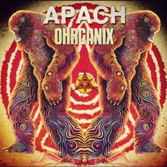 APACH - Ohrganix - Ohrganix -ep - soon out on Galama Records