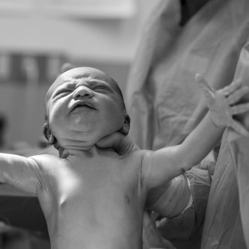 Life Is Born