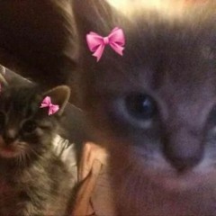 Qui, Principessa 🙂🌸  Margo Tg