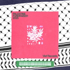 Palestine Fundraiser (2025)