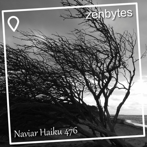 bare tree ballet - Naviarhaiku 476