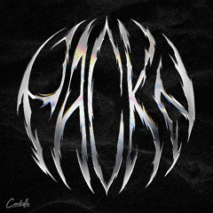 PACKZ (Radio Edit)