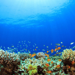 out of this world mix