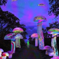 🔊🔊🔊