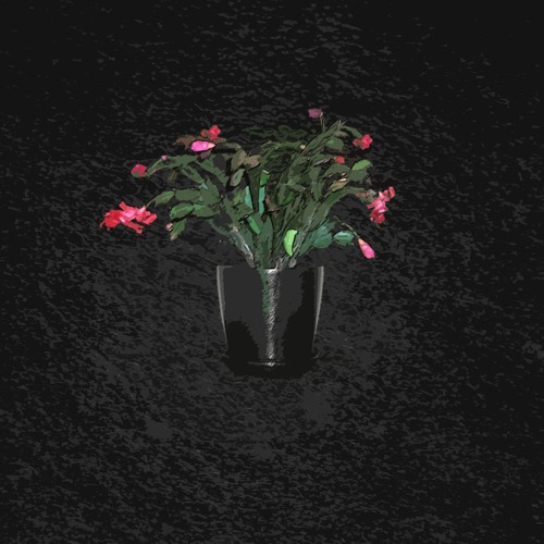 Don't Get Used To It