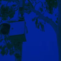 Otologic w/ Martha 280725