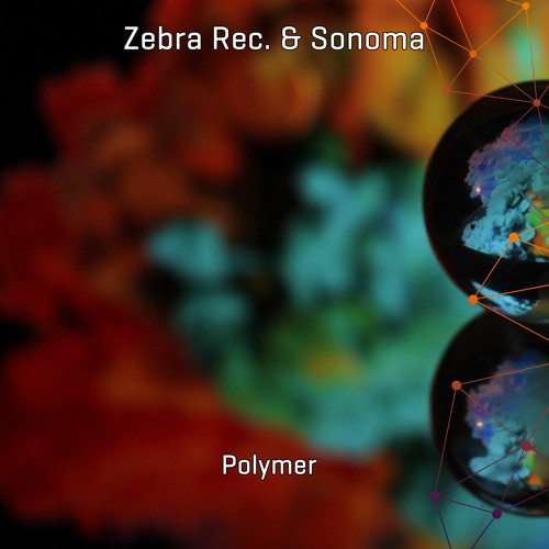 Sonoma (MX) - Polymer • Zebra Rec. [ZBREP008] • 2021 (snippet)