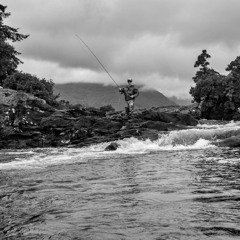 The Fisherman