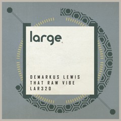 Demarkus Lewis | That Raw Vibe