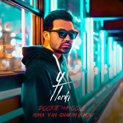 Yasin Torki - Dooste Mamooli (Nima van ghavim Remix)