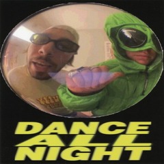 DJ Stonik1917 & прыгай киска — Dance All Night