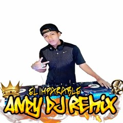 LOS IMPARABLES DEL PARTY - //CHICHA EXCLUSIVA// - ANDY DJ REMIX