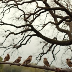 His Rod & Staff Comforts & will Strengthen us, written by Johnny B (Remastered)