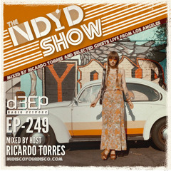 The NDYD Radio Show EP249