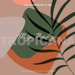 NO SIGNAL RADIO / My Baby Tropicana