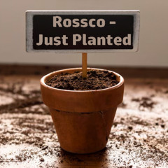 Rossco - Just Planted [Tech House Mix]