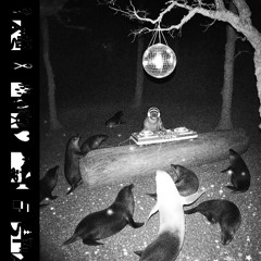 last known benjamin - new year mix