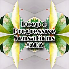 Q Melodic techno Vibes 2025 in progress