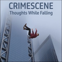 Thoughts While Falling